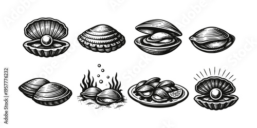 Collection of vintage style shellfish and pearl illustrations in black and white