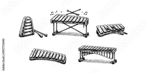 Collection of hand-drawn xylophones and glockenspiels with mallets on a white background