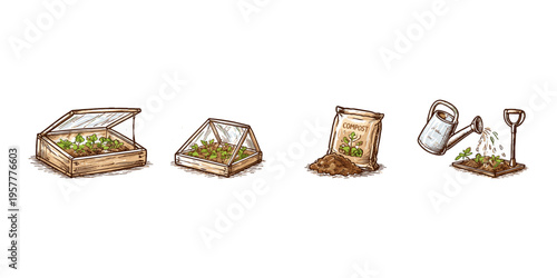 Gardening process illustration: seed starting, compost, and watering young plants