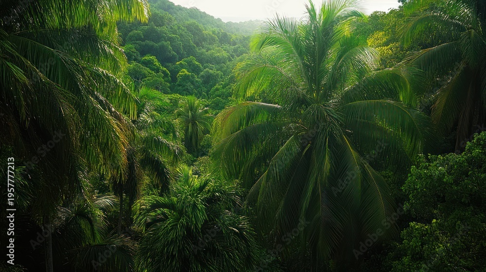 Naklejka premium Lush tropical jungle canopy. Dense foliage, vibrant green, palm trees, hidden valley