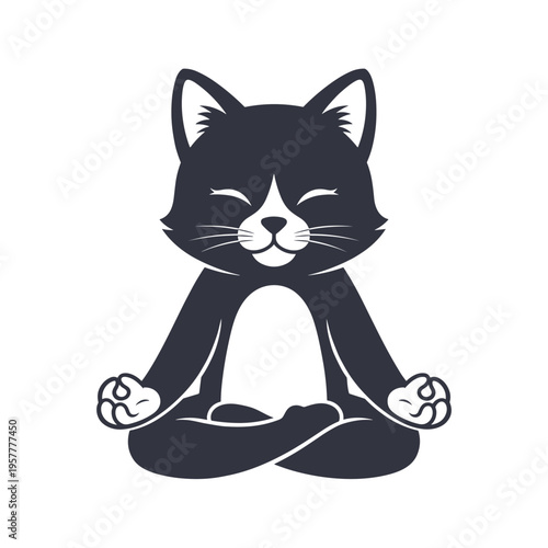 Black cat in yoga pose sitting.