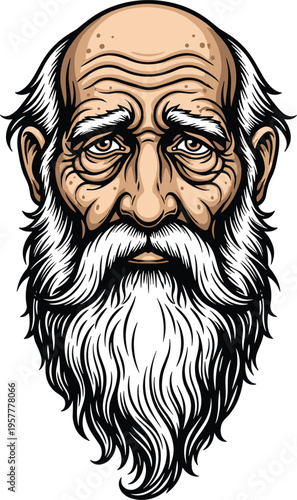 Old Bearded Man Portrait Vector Illustration Elderly Male Character Face with Long White Beard Wrinkles Bald Head Serious Expression for Mascot Avatar Design