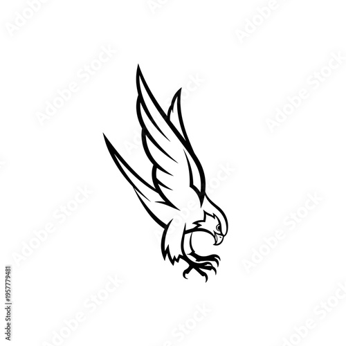 Bird of Prey in Flight Diving.