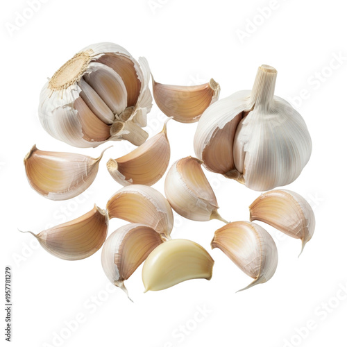 Garlic bulbs and cloves isolated on white