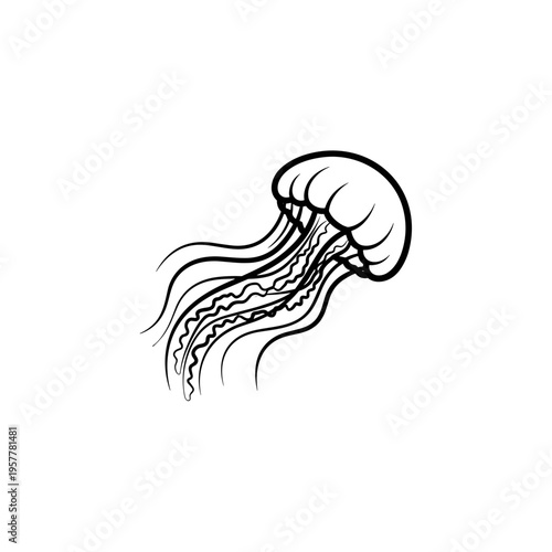 Black and white jellyfish drawing.