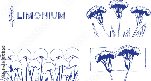 Elegant Limonium Illustrations: A sophisticated collection of four botanical illustrations showcasing the delicate beauty of limonium flowers, with a refined aesthetic and artistic charm.