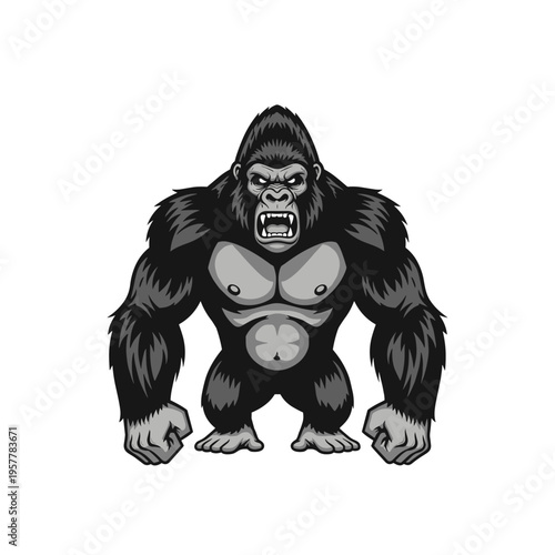 Large angry gorilla standing aggressively forward.