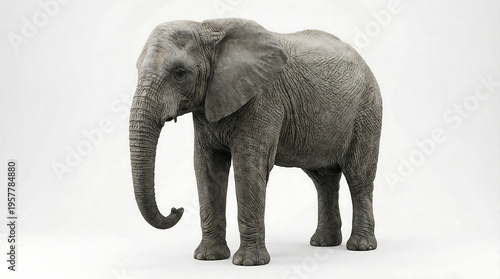 African elephant walking alone in misty white background wildlife nature 4k Generative AI