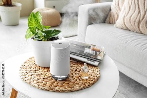 Air humidifier with green p...