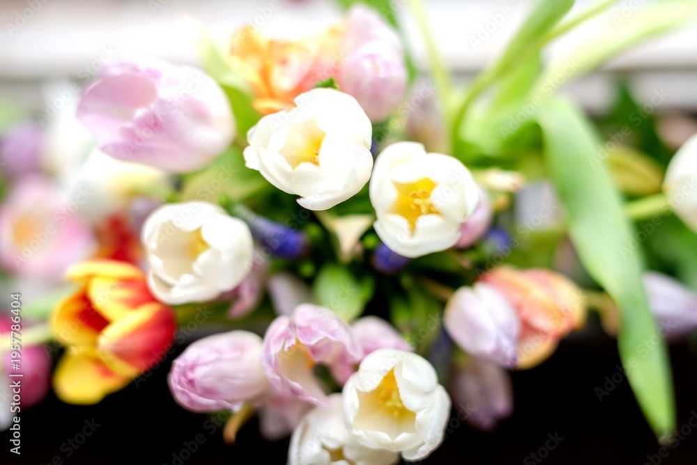Fototapeta premium Vibrant spring tulip bouquet arrangement