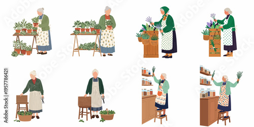 Flat vector illustrations of an elderly woman gardening, harvesting, and organizing fresh and dried herbs in various rustic and apothecary settings.