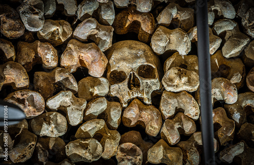 Foto Close-up skull in ossuary bone wall, shallow depth of field, catacombs