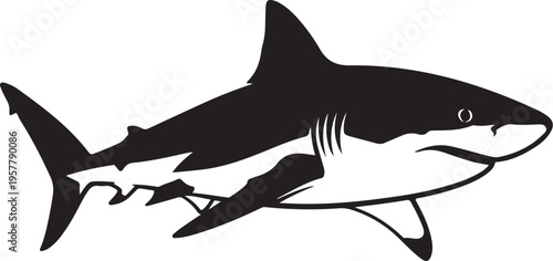 Black and White Shark Swimming in Ocean Waters Silhouette