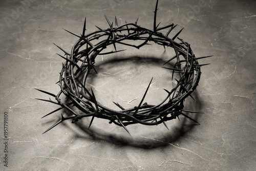 Crown of thorns on grey gru...