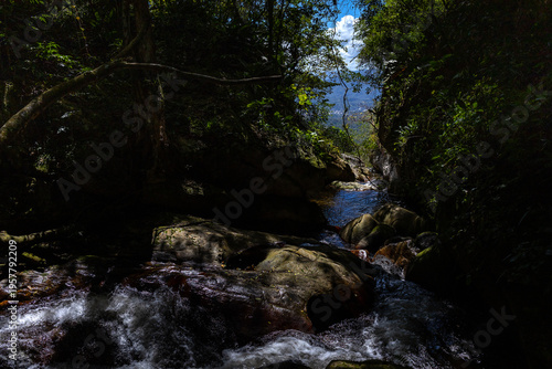 Rio Norte river in the lush mountains of Guatire, Miranda, Venezuela. Dense tropical forest and vibrant green vegetation within the Waraira Repano National Park
