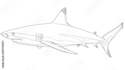 Abstract geometric V shape with complex 3D block design, symbolizing achievement, innovation, or a solved puzzle. Minimalist black and white graphic.