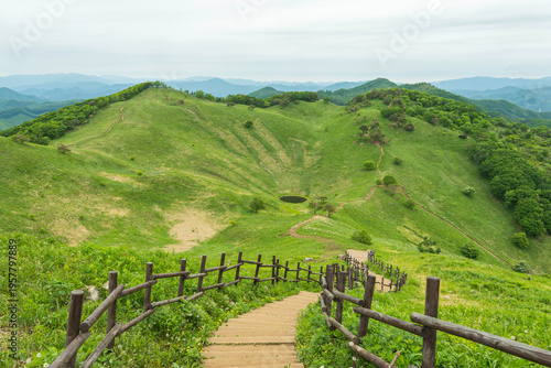 트래킹하기 좋은 푸릇푸릇한 민둥산