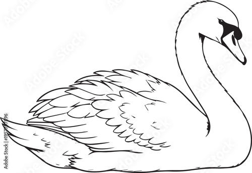 A black and white drawing of a swan