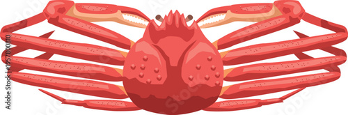 シンプルなズワイガニのイメージイラスト