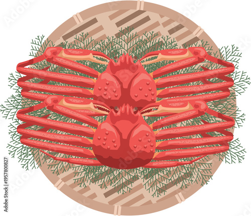 ザルに盛られたズワイガニのイメージイラスト