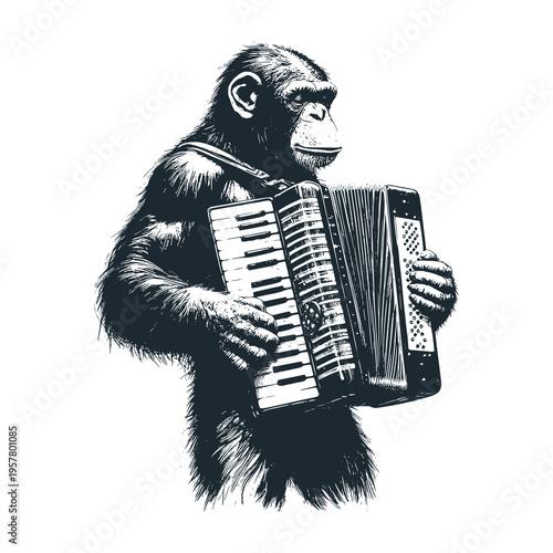 chimpanzee playing accordion