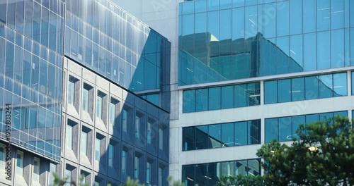 Street-level office pair are showing glass glare as sun moves, foliage is swaying as breeze blows