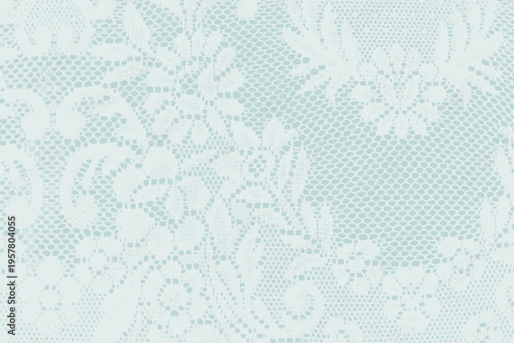 Obraz premium Delicate floral lace pattern