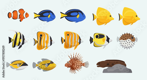 Collection of various colorful fish species.