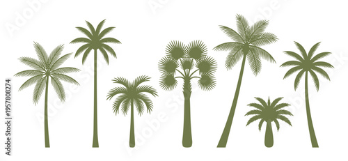 Collection of palm tree silhouettes in various forms, green monochrome illustrations suitable for tropical designs
