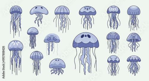 Collection of jellyfish illustrations marine.