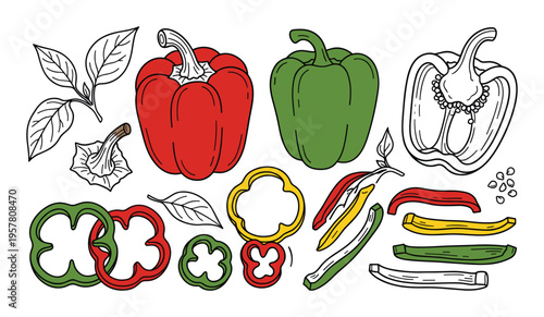 Colorful bell peppers and leaves, whole and sliced