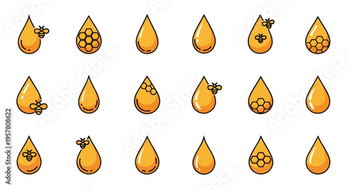 Collection of various orange fruits.