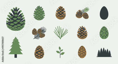 Collection of various pine cones and trees.