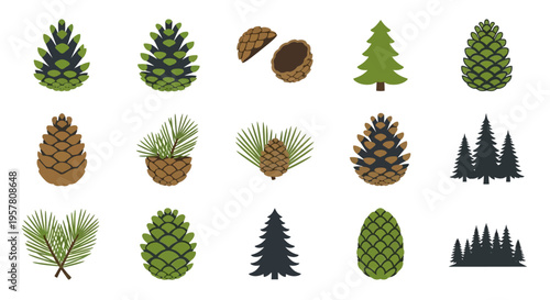 Collection of various pine tree cones.