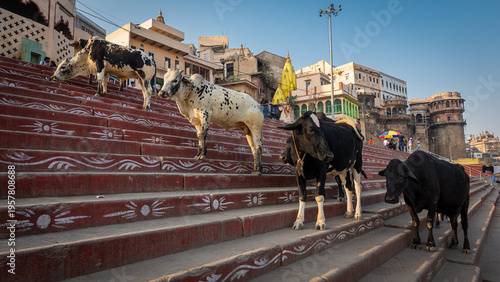 Fotografie Historic Varanasi in Uttar Pradesh