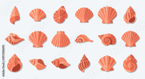 Collection of various seashells on display.