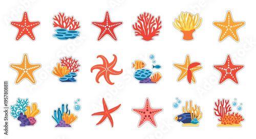 Colorful starfish and coral reef icons.