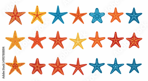 Colorful starfish on white background.
