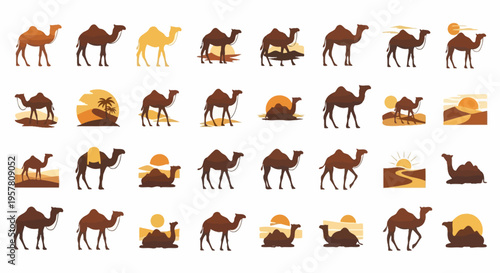 Group of camels standing together.