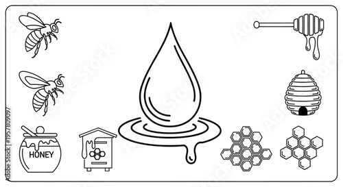 Honey and bee illustrations set.