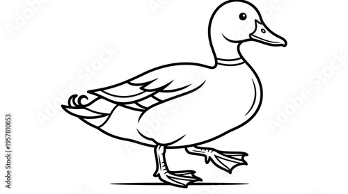 Duck Walking Side View Illustration.
