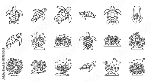 Turtles and Coral Reef Illustrations.