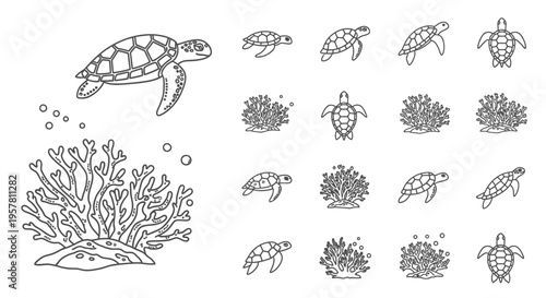 Sea turtles and coral reef illustration.