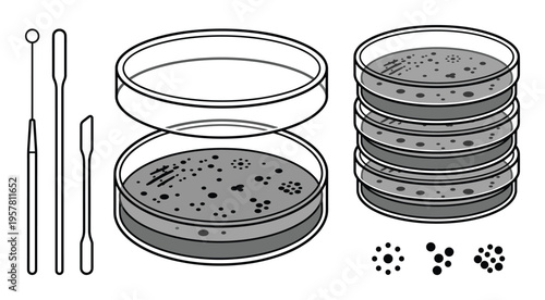 Petri dishes with bacterial colonies and laboratory tools for microbiology research