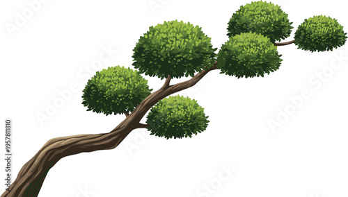 Stylized tree branch illustration with rounded clusters of green foliage, twisted brown stem, ornamental bonsai-inspired design concept for nature, decoration, gardening, and creative artwork.