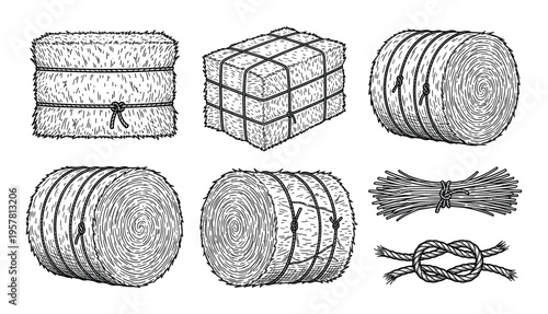 Straw hay bales and rope knots illustration set for agricultural farm design