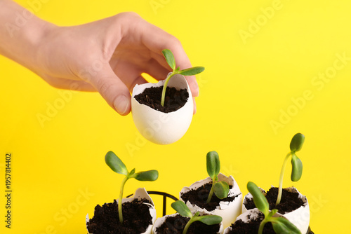 Female hand with egg shells...