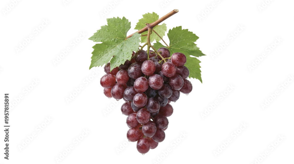 Fototapeta premium Fresh red grape cluster with green leaves on a white background for healthy eating and fruit market themes