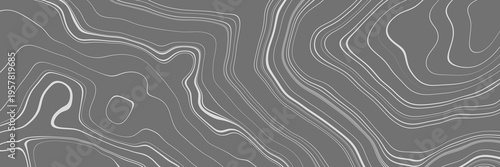 Grey and white mountain contour lines. Abstract topographic map