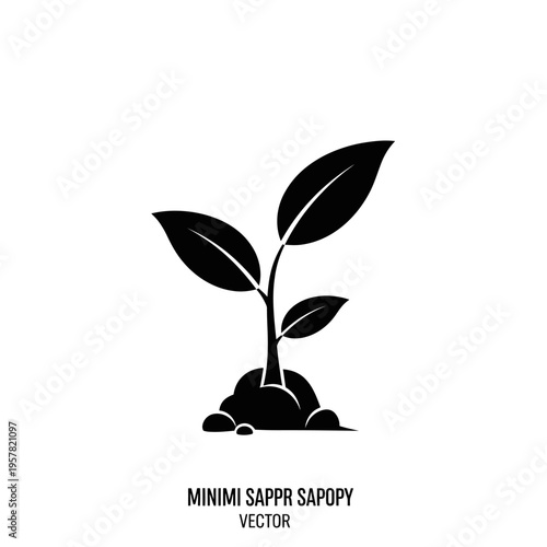 Black and white plant sprout growing.